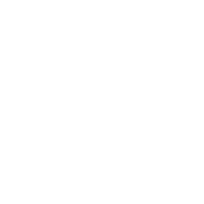 Realm X